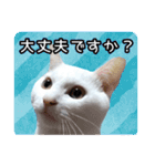 うちの子よその子（よその子バージョン2）（個別スタンプ：25）