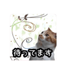 うちの子よその子（よその子バージョン2）（個別スタンプ：31）