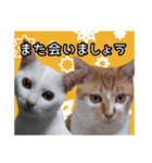 うちの子よその子（よその子バージョン2）（個別スタンプ：32）
