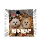 LUNA＆SEAです！！世界平和祈り～（個別スタンプ：4）