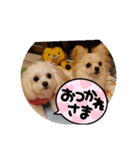 LUNA＆SEAです！！世界平和祈り～（個別スタンプ：5）