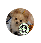 LUNA＆SEAです！！世界平和祈り～（個別スタンプ：7）