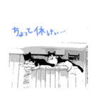 ピカケとココナッツ（個別スタンプ：2）