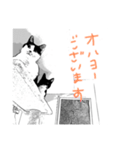 ピカケとココナッツ（個別スタンプ：3）