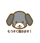 シンプルな犬のスタンプ！（個別スタンプ：38）