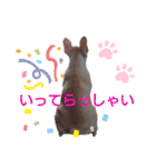 フレブル倶楽部 French bulldog（個別スタンプ：20）