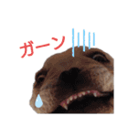 フレブル倶楽部 French bulldog（個別スタンプ：33）