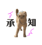 ちくわの日常（面白い）（個別スタンプ：3）