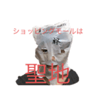 ビニール袋マンの県立高校青春白書（個別スタンプ：3）