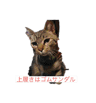 ビニール袋マンの県立高校青春白書（個別スタンプ：10）