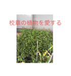 ビニール袋マンの県立高校青春白書（個別スタンプ：14）