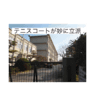ビニール袋マンの県立高校青春白書（個別スタンプ：25）