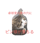 ビニール袋マンの県立高校青春白書（個別スタンプ：32）