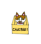 保護猫タマ（個別スタンプ：1）