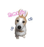 ジャックのあぐちゃん（個別スタンプ：3）