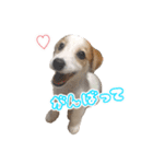 ジャックのあぐちゃん（個別スタンプ：6）