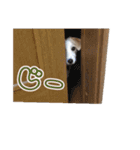 ジャックのあぐちゃん（個別スタンプ：10）