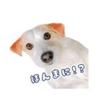 ジャックのあぐちゃん（個別スタンプ：14）