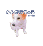 ジャックのあぐちゃん（個別スタンプ：16）