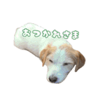 ジャックのあぐちゃん（個別スタンプ：18）