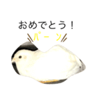 Uzura Daisuki スタンプ（個別スタンプ：16）