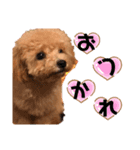 ぷてぃ♡2（個別スタンプ：1）