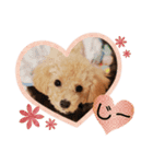 ぷてぃ♡2（個別スタンプ：3）