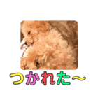 ぷてぃ♡2（個別スタンプ：5）
