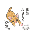 ゴルフ猫（個別スタンプ：11）
