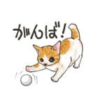 ゴルフ猫（個別スタンプ：19）