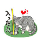 ゴルフ猫（個別スタンプ：23）