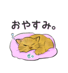 日常あいさつ猫（個別スタンプ：4）