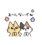 毎日使える♪ねこ達の日常スタンプ（個別スタンプ：19）