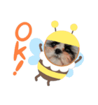 シャルティエ（個別スタンプ：3）