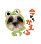シャルティエ（個別スタンプ：4）