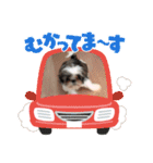 シャルティエ（個別スタンプ：8）