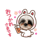 シャルティエ（個別スタンプ：9）