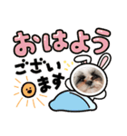 シャルティエ（個別スタンプ：10）
