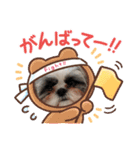 シャルティエ（個別スタンプ：16）