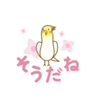 オカメインコのんちゃん（個別スタンプ：9）