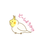 オカメインコのんちゃん（個別スタンプ：10）