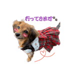 チワックスNoel（個別スタンプ：9）