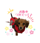 チワックスNoel（個別スタンプ：12）