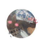 もんちゃん、もなか、時々まろさんPart2（個別スタンプ：12）