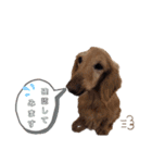 もんちゃん、もなか、時々まろさんPart2（個別スタンプ：23）