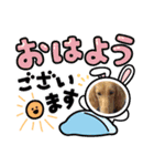 犬のスタンプ第一（個別スタンプ：3）