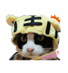 ミントだよ（個別スタンプ：1）
