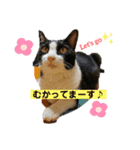 ミントだよ（個別スタンプ：2）