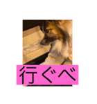 すみか 茨城var（個別スタンプ：3）