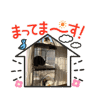 にゃるそっく10（個別スタンプ：21）